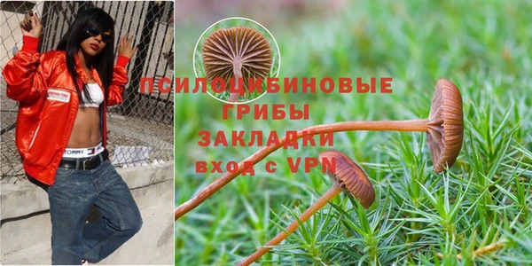 мяу мяу кристалл Пролетарск