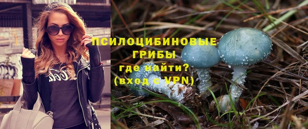 твердый Протвино
