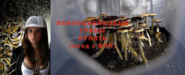 прущая мука Абаза