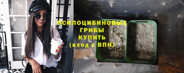 гашик Абинск