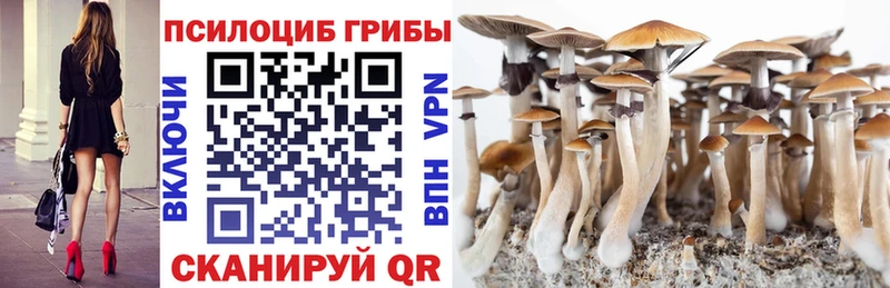 Галлюциногенные грибы GOLDEN TEACHER где купить наркоту Западная Двина